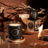 Bougie Burning Wood - Voluspa galerie alréenne auray 56