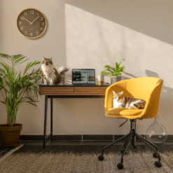 Chaises de Bureau