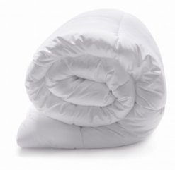 Ccouette Himalaya Galerie Alreenne