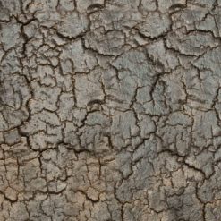 Console Pentagon ethnicraft galerie alréenne auray 56