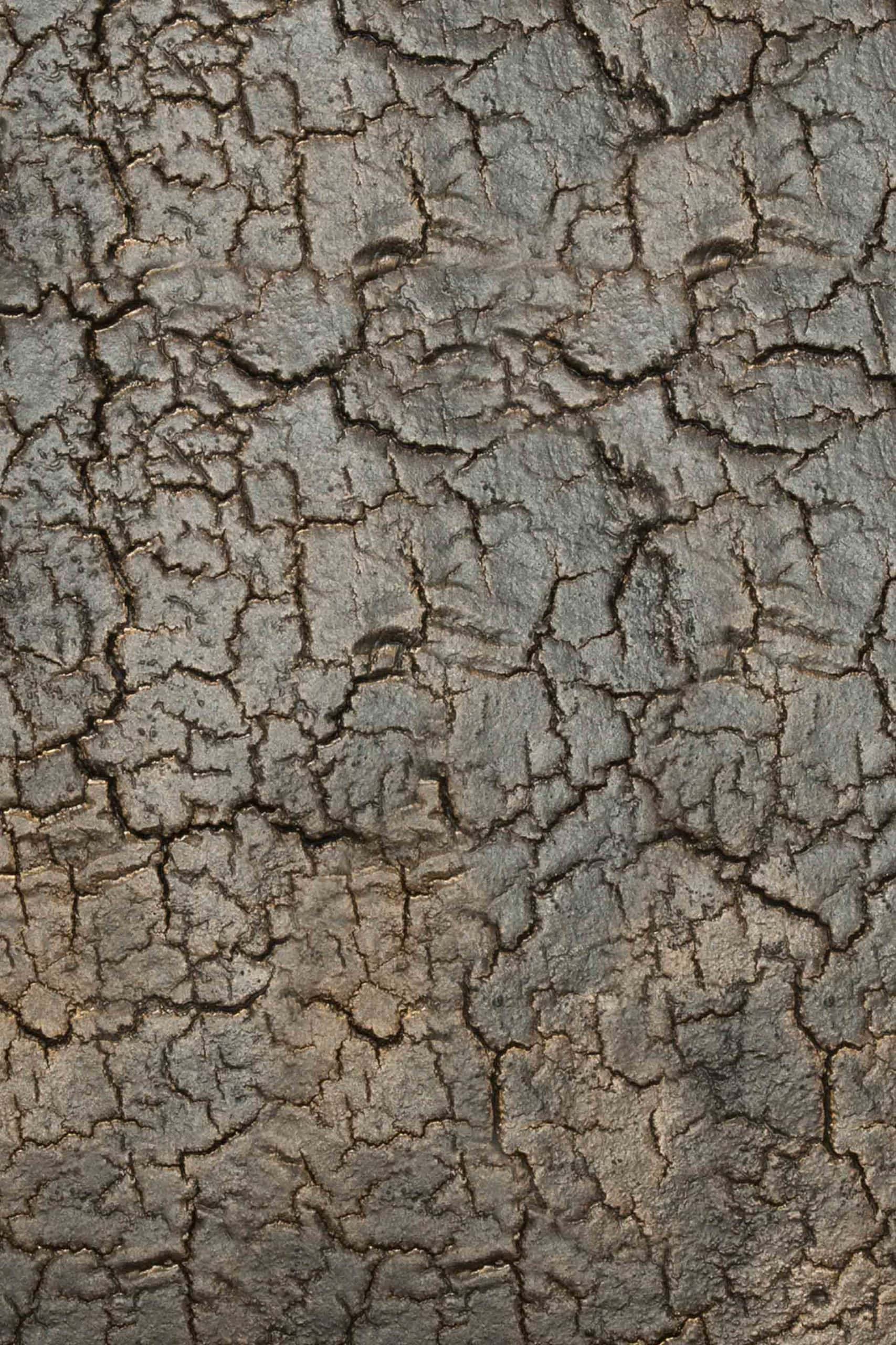 Console Pentagon ethnicraft galerie alréenne auray 56