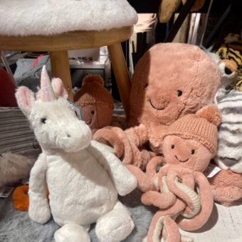 image peluche galerie alréenne auray 56