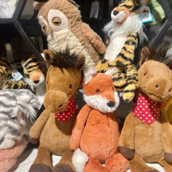 image peluche galerie alréenne auray 56