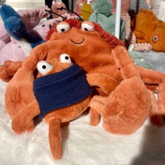 image peluche galerie alréenne auray 56