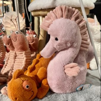 image peluche galerie alréenne auray 56