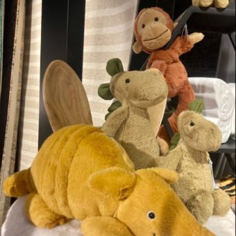 image peluche galerie alréenne auray 56