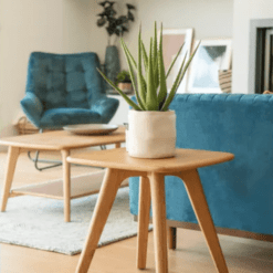 Photo d'ambiance, Bout de canapé rectangle avec bord rond en chêne zago galerie alréenne auray 56