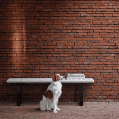 Banc Stability - Ethnicraft galerie alréenne auray 56