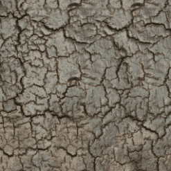 Table d'appoint Pentagon - Ethnicraft galerie alréenne auray 56