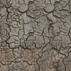 Table d'appoint Triptic Wisky - Ethnicraft galerie alréenne auray 56